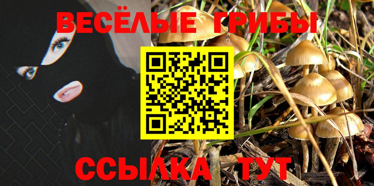 Галлюциногенные грибы мицелий  закладка  Камышин  Вход с VPN 