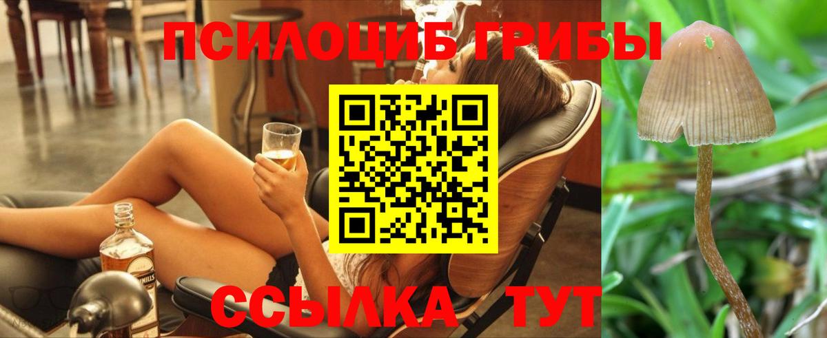 Псилоцибиновые грибы MAGIC MUSHROOMS Камышин